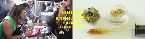 гидропоника Алзамай
