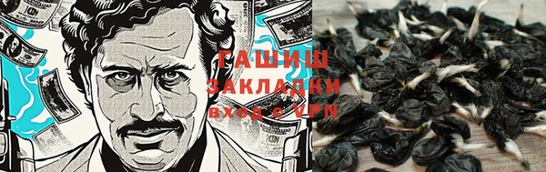 молекула духа Абинск