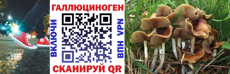 Псилоцибиновые грибы GOLDEN TEACHER  Петушки 